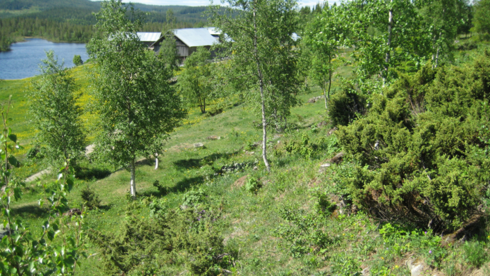 Forpaktning