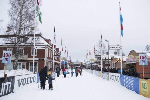 NordicFocus