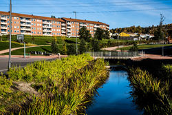 Bjerkedalen park