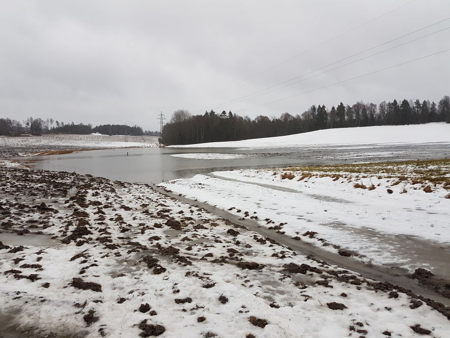 Snøsmelting skaper flomsituasjoner på dyrket mark. foto: Lars Buhler Snøsmelting, frost på jordet