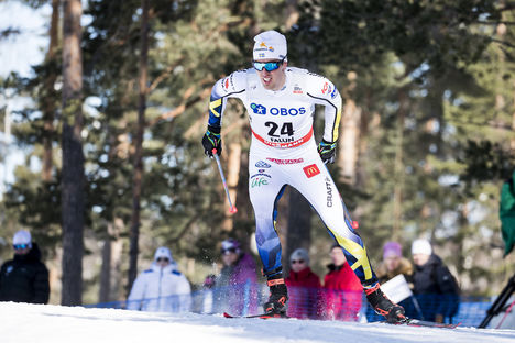 NordicFocus 16.03.2018, Falun Sweden (SWE):Calle Halfvarsson (SWE) - FIS world cup cross-country, individual sprint, Falun (SWE). www.nordicfocus.com. © Modica/NordicFocus. Every downloaded picture is fee-liable.