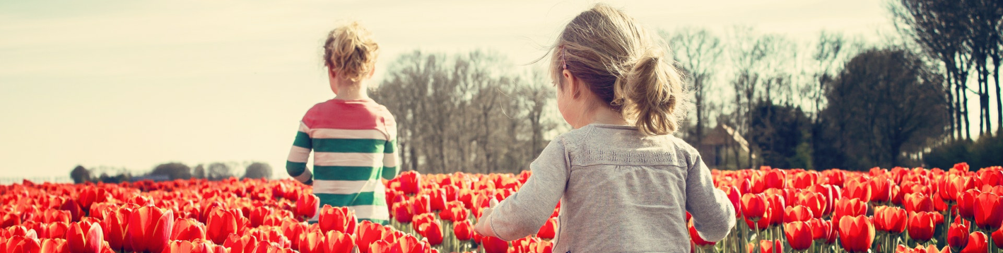 Banner Barn i tulipanåker