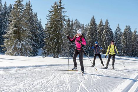 ESPACE NORDIQUE JURASSIEN