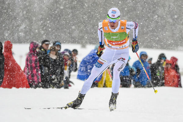 NordicFocus