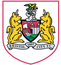Badge Bristol city