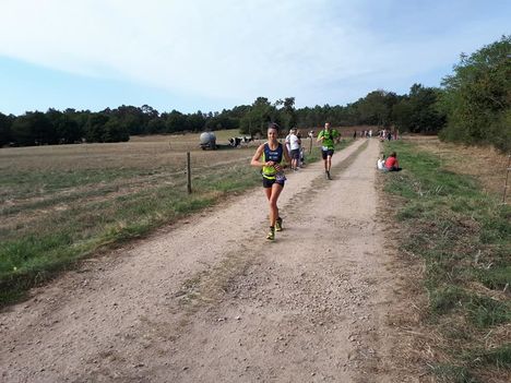 Trail Broceliande