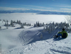 Monts Jura