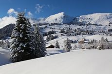 Les Mosses