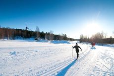 Falun Lugnet
