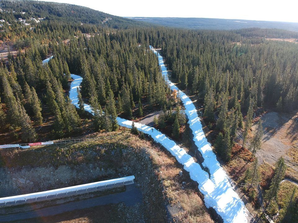 Sjusjoen