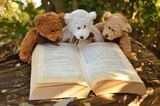 teddy-bear-2855982_960_720