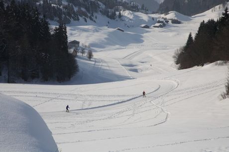Plaine Joux