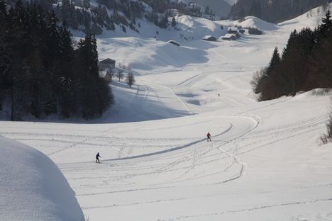 Plaine Joux