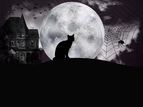 halloween18