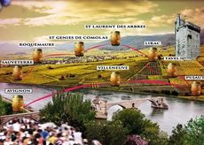 Marathon cotes du rhone