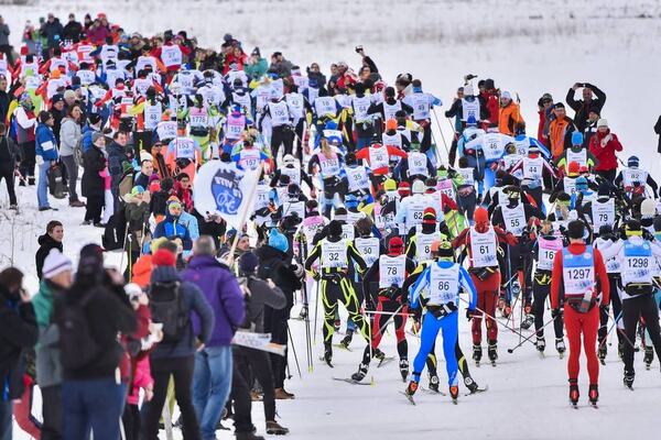 NordicFocus