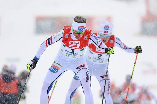 NordicFocus