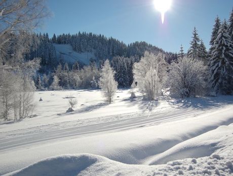 Gerardmer Ski Nordique Bas Rupts