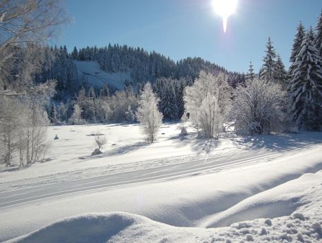 Gerardmer Ski Nordique Bas Rupts