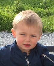 Edvard Antoni Moe Pettersen[2]