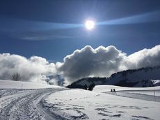 Praz de Lys Sommand