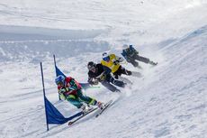 Ski Cross Hommes