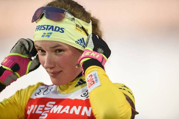 NordicFocus