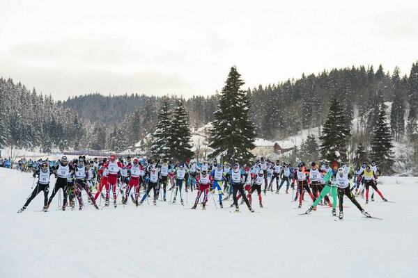 NordicFocus