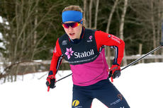 Fossesholm