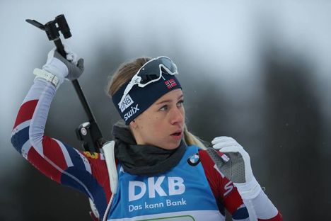 NordicFocus Eckhoff
