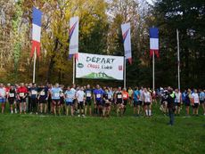 Cross Volvic
