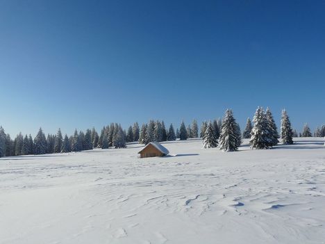 Montagnes du Jura Photo Julie Hann
