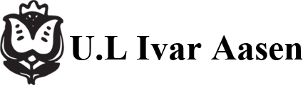 CustomPublish logo