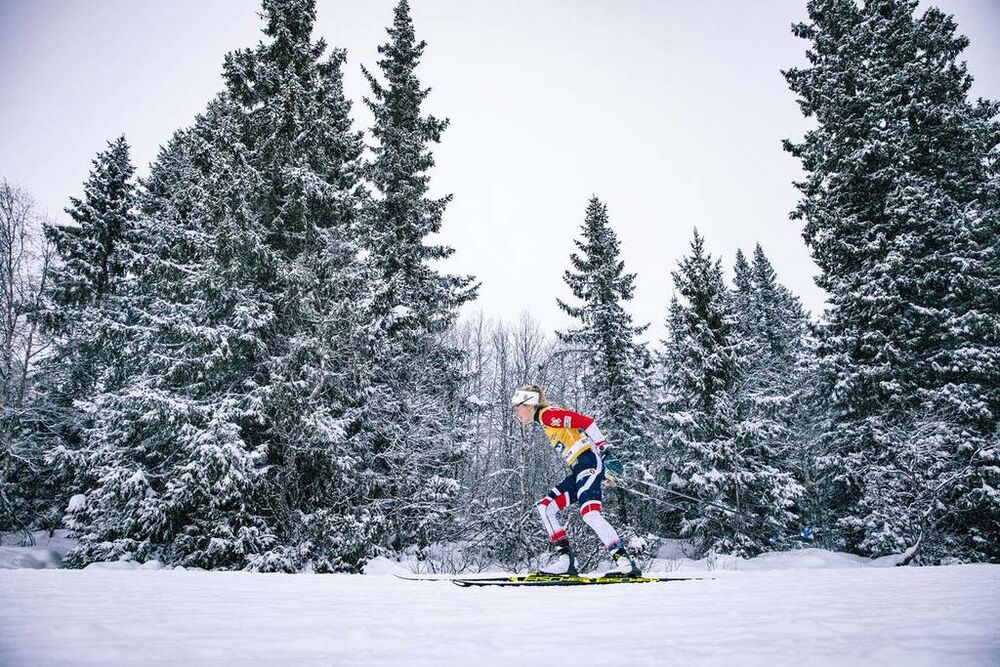 08.12.2018, Beitostolen, Norway (NOR):Therese Johaug (NOR) - FIS world cup cross-country, 15km women, Beitostolen (NOR). www.nordicfocus.com. © Modica/NordicFocus. Every downloaded picture is fee-liable.