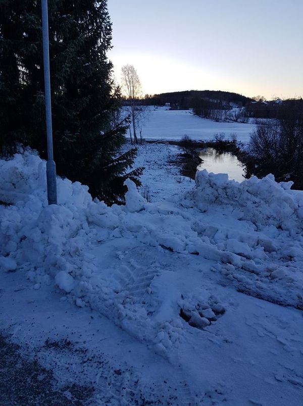 Brøytekanter_foto Randi