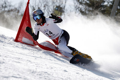 Snowboard