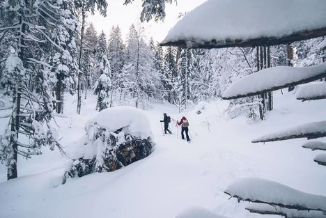 Montagnes du Jura