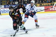 zsc lions