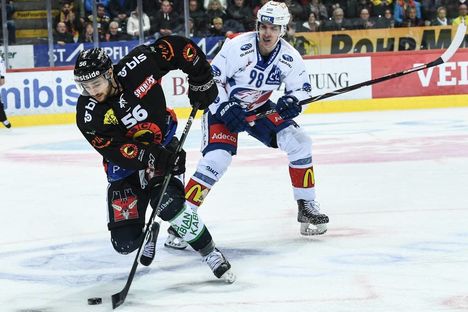 zsc lions