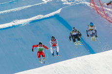Ski Cross