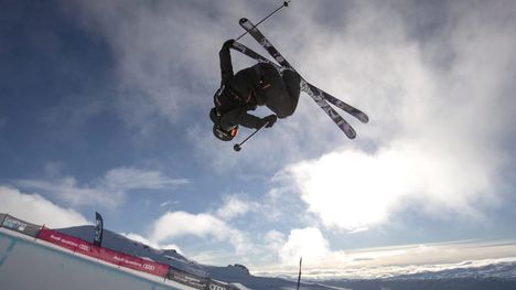 Simon dartois