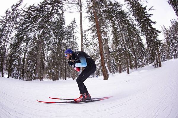 NordicFocus