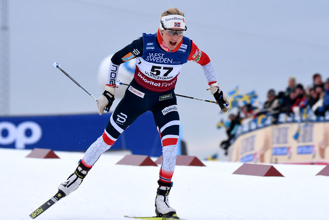THERESE JOHAUG är obesegrad på distans den här säsongen och blir troligen VM-drottningen i Seefeld. Här från världscupen i Ulricehamn förra helgen. Foto/rights: ROLF ZETTERBERG/kekstock.com
