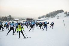 NordicFocus Group