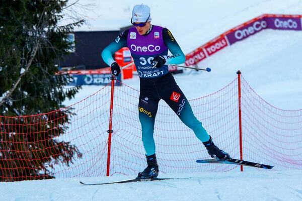 NordicFocus