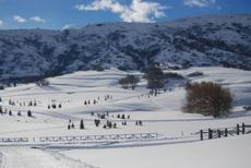 UTAH NORDIC