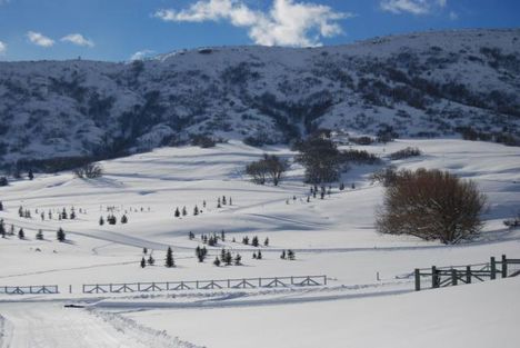 UTAH NORDIC