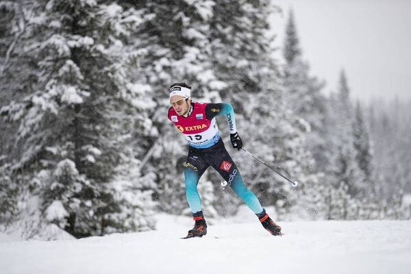 NordicFocus
