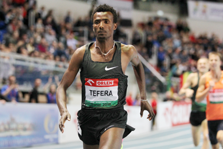 Tefera