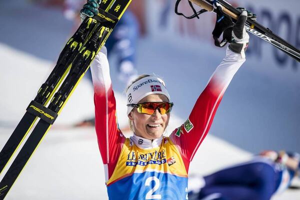 NordicFocus